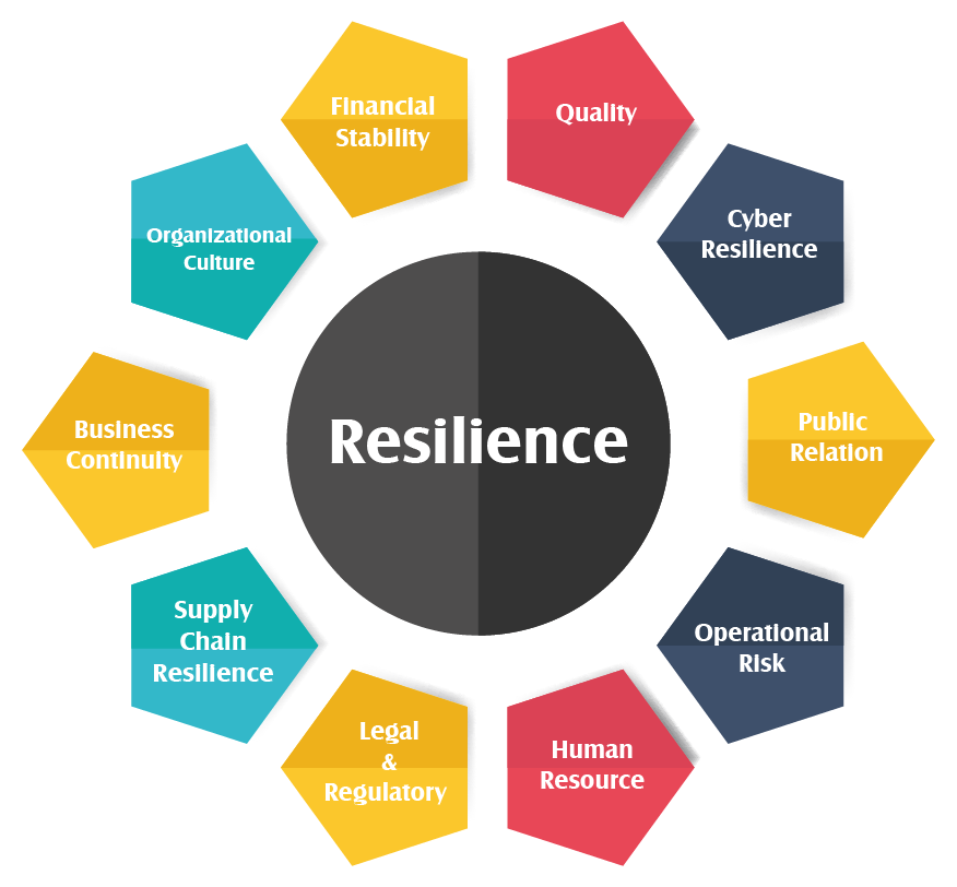 *Organizational Resilience – Estmrarya